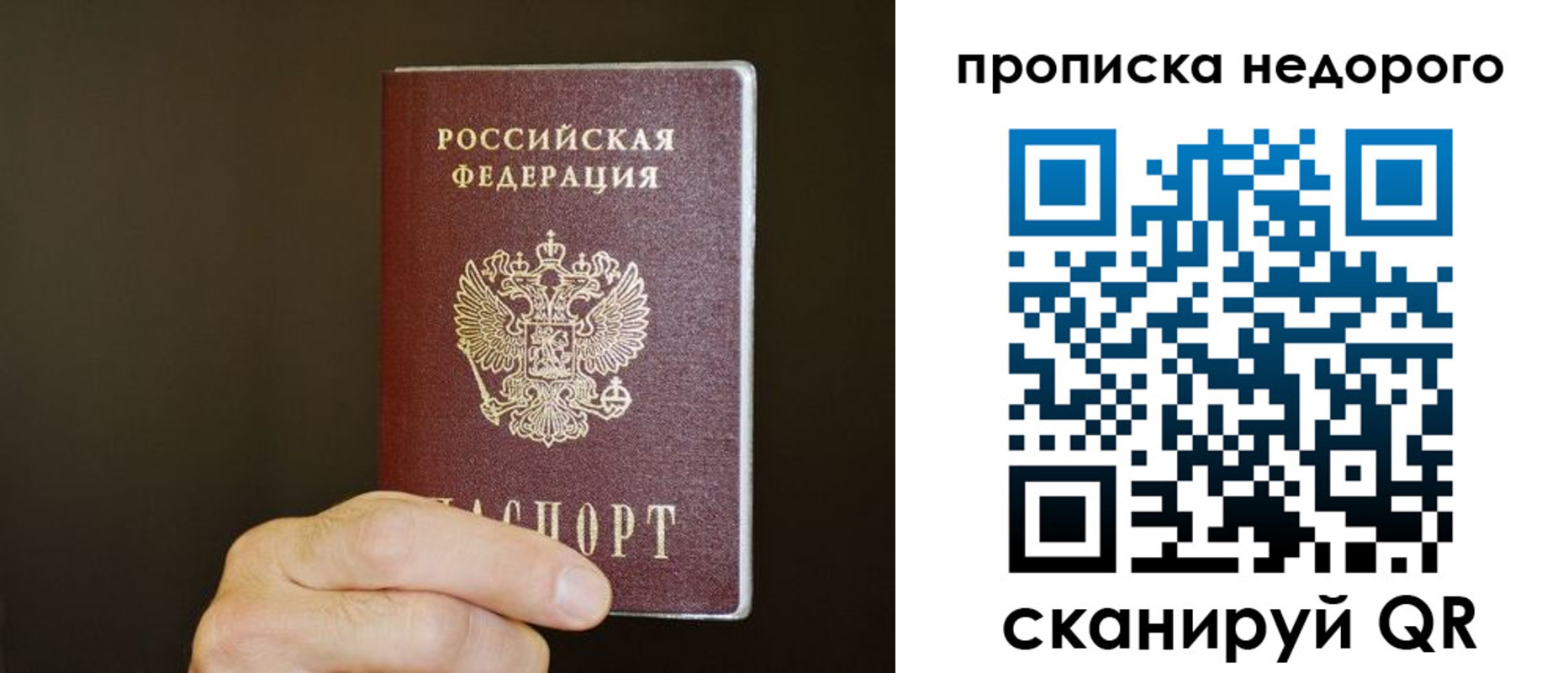 прописка в квартире в Лосино-Петровском